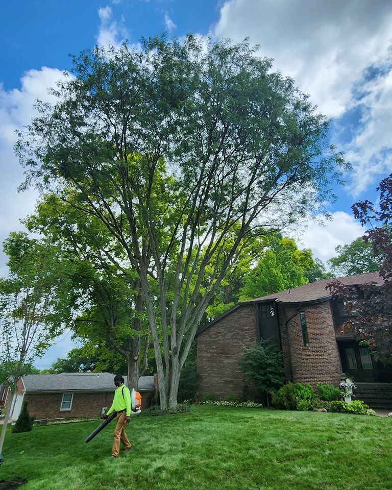 A man is cutting a tree in front of a house.