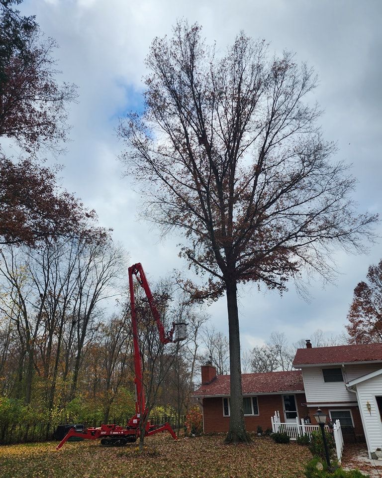 A red crane is cutting a tree in front of a house.