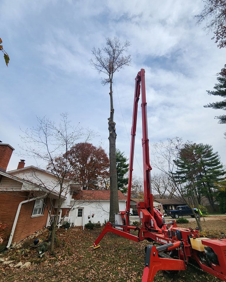 A red crane is cutting a tree in front of a house.
