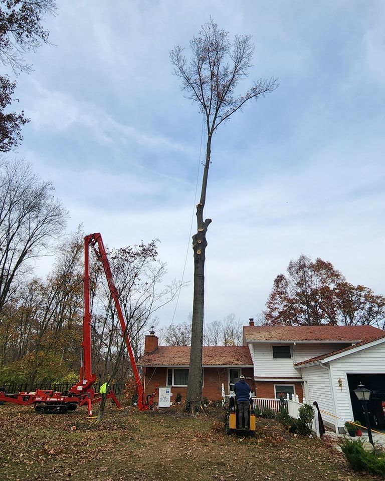 A large tree is being cut down in front of a house.