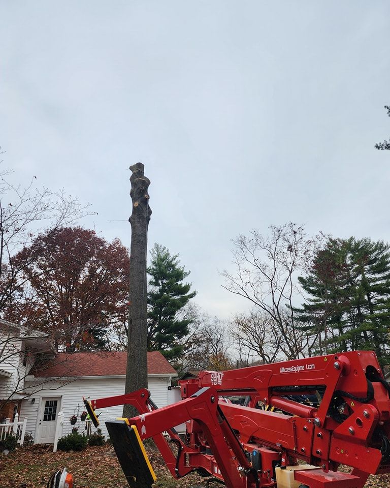 A red crane is cutting a tree in front of a house.