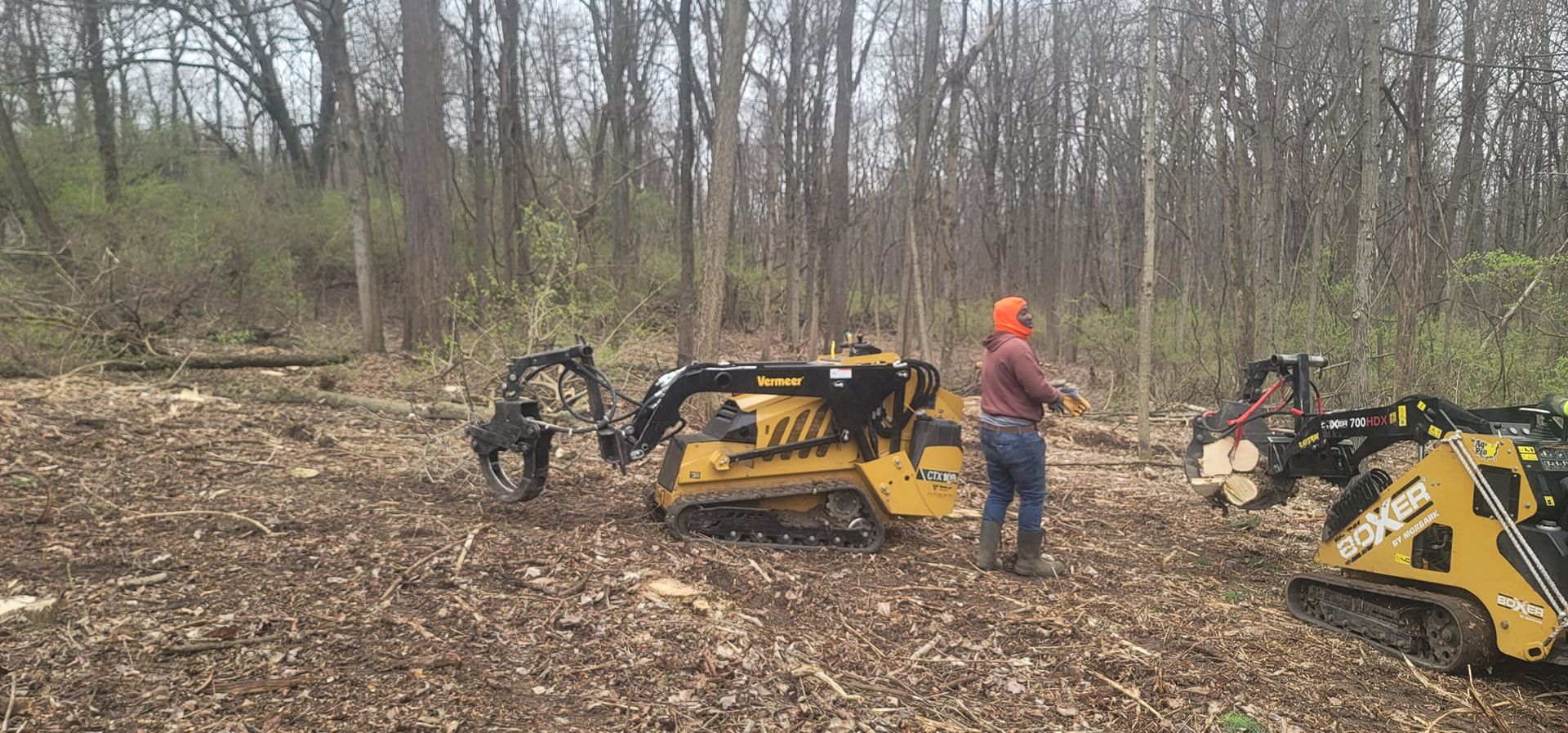 A man is standing next to a tractor in the middle of a forest.