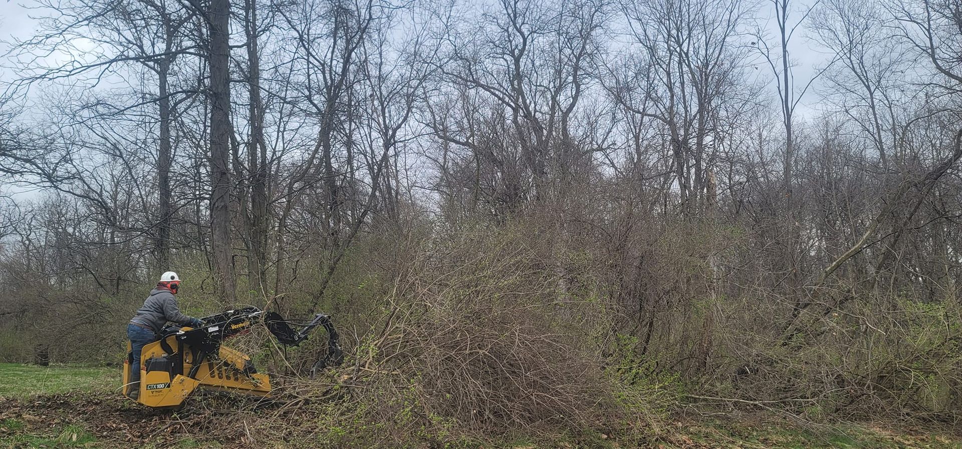 A man is operating a machine in the middle of a forest.
