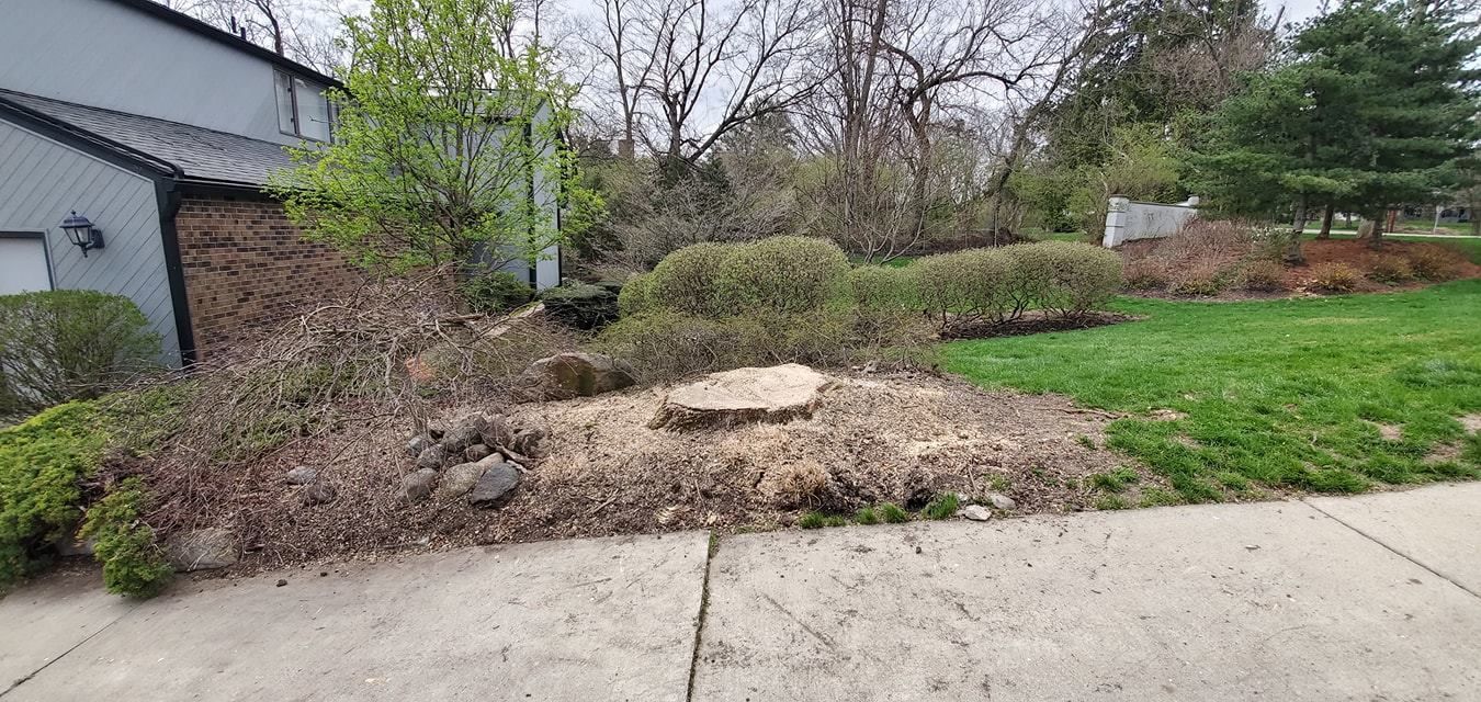 A stump in the middle of a yard next to a house.