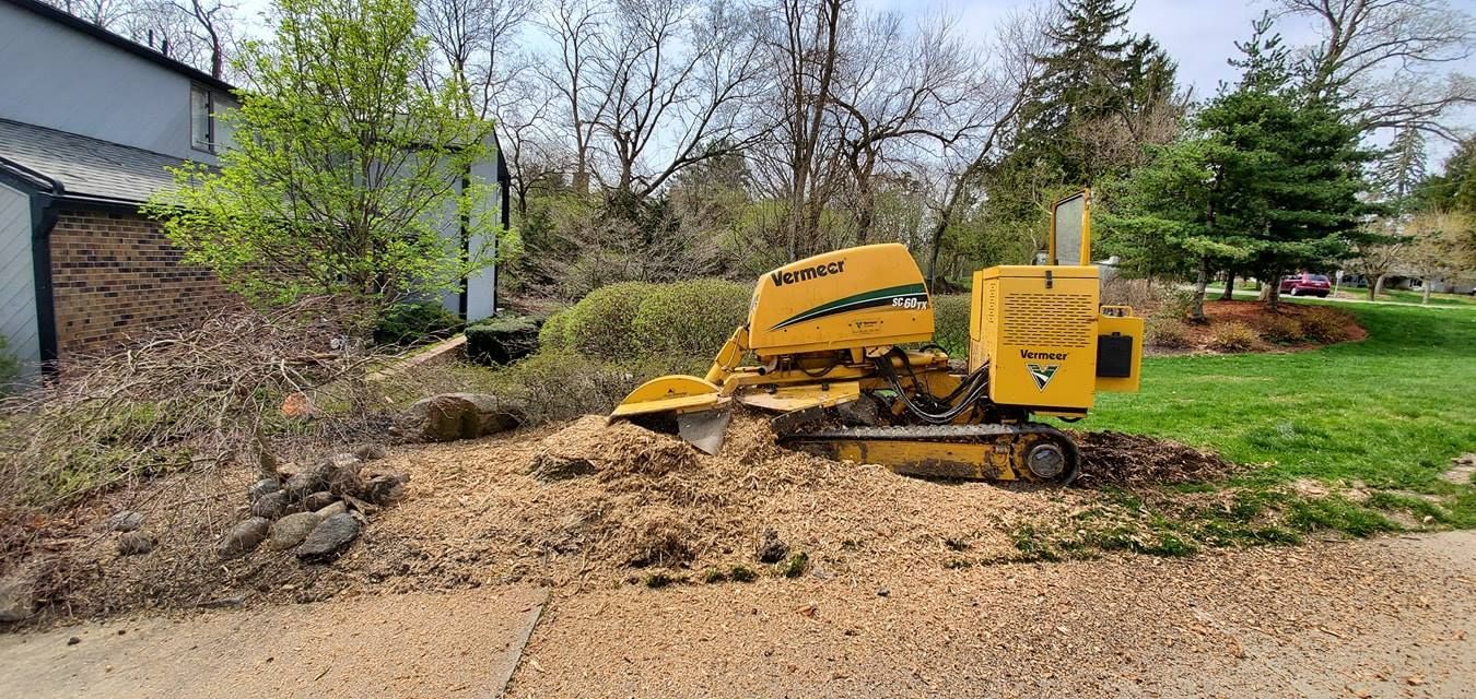 A yellow stump grinder is sitting on top of a pile of wood chips.
