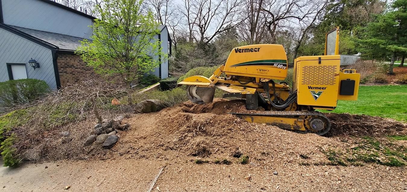 A yellow stump grinder is cutting a tree stump in front of a house.