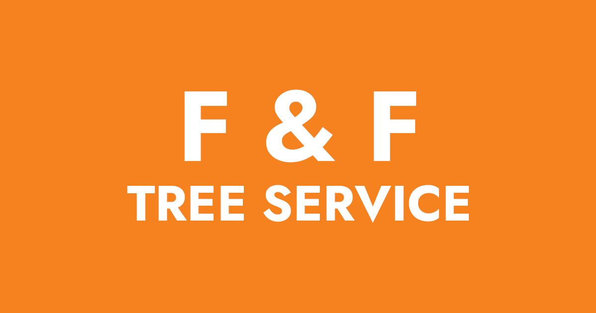 Professional Tree Care | F & F Tree Service
