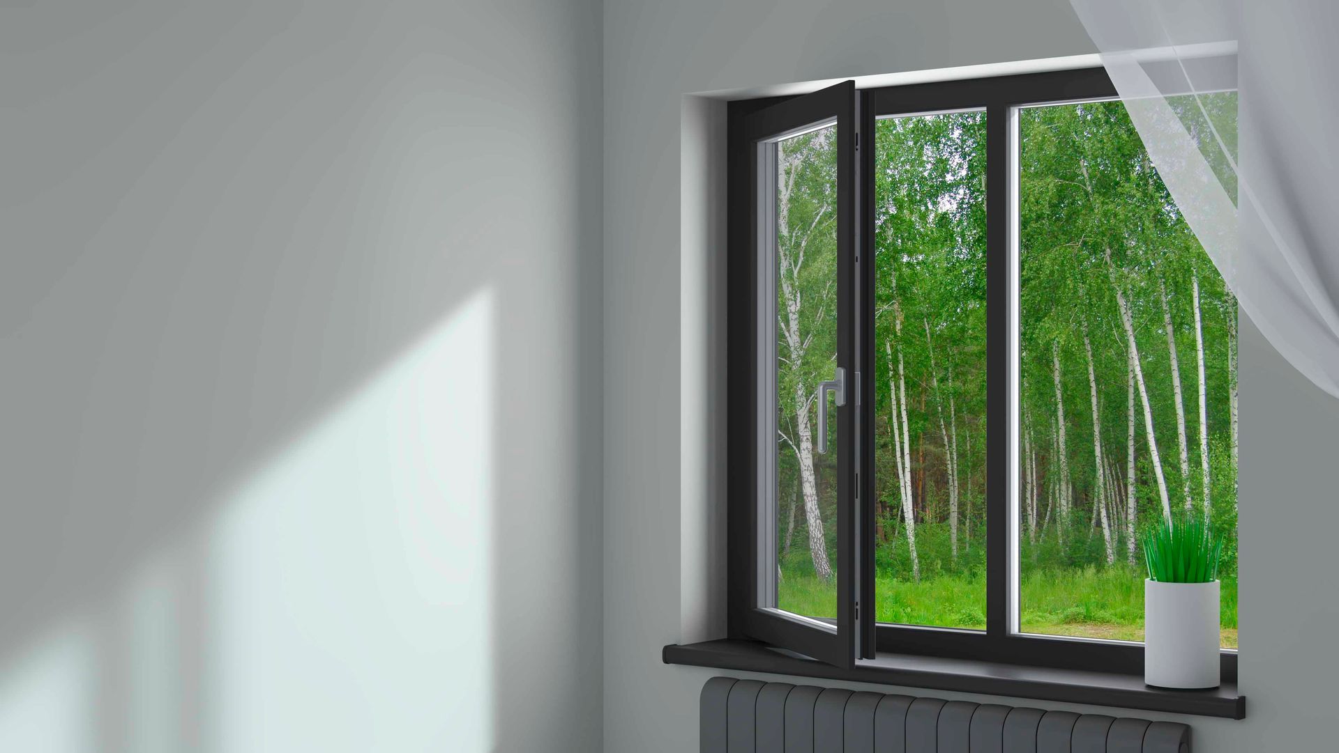 Fenêtre ouverte donnant sur une forêt verdoyante luxuriante, soleil sur un mur blanc.