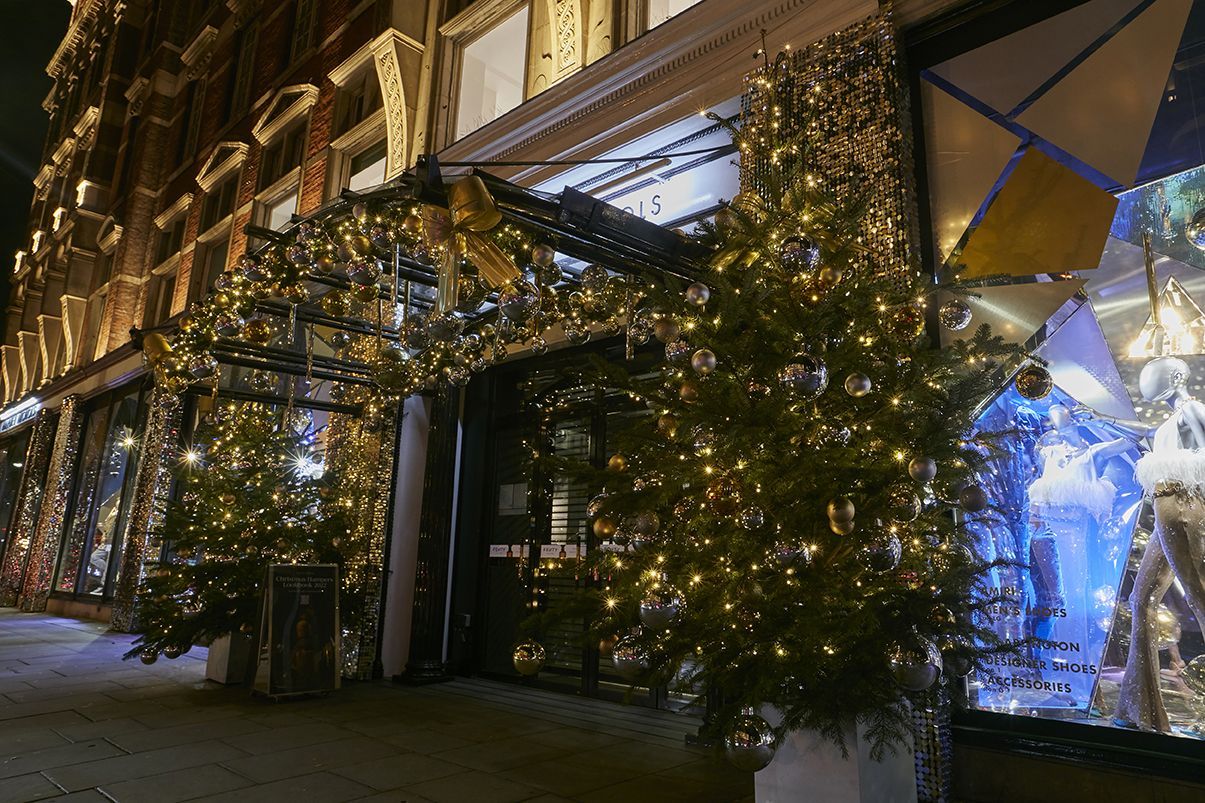 A christmas tree is in front of a building decorated with lights.