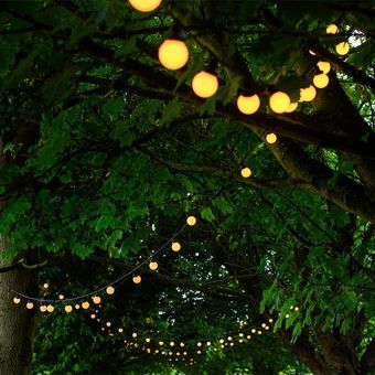 A string of lights is hanging from a tree at night.