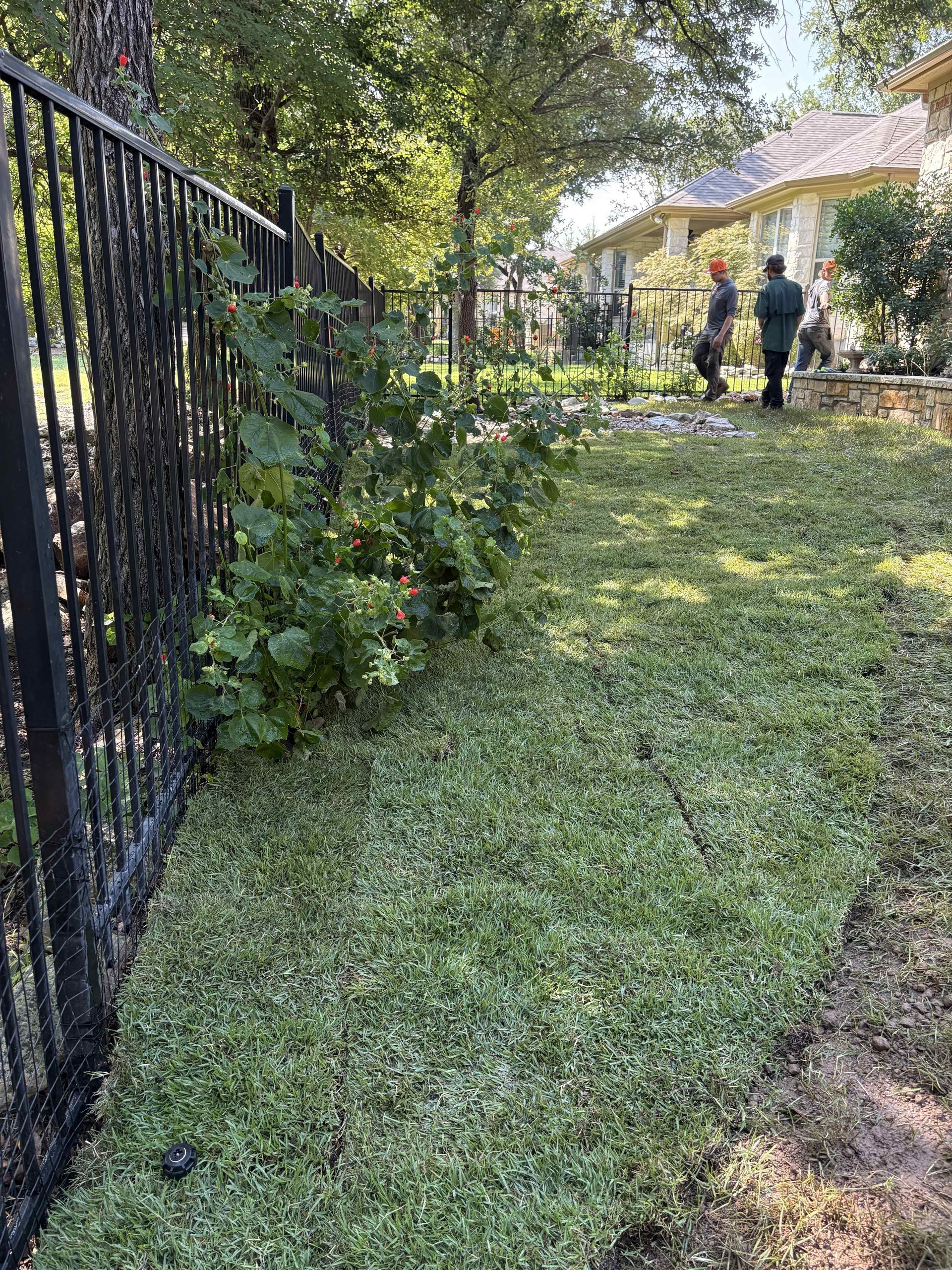 Two workers in orange vests stand in a grassy yard beside a black metal fence and a line of green bushes.