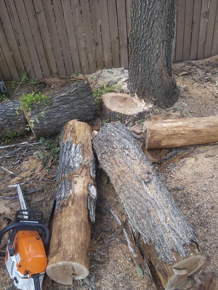 stump removal company near me