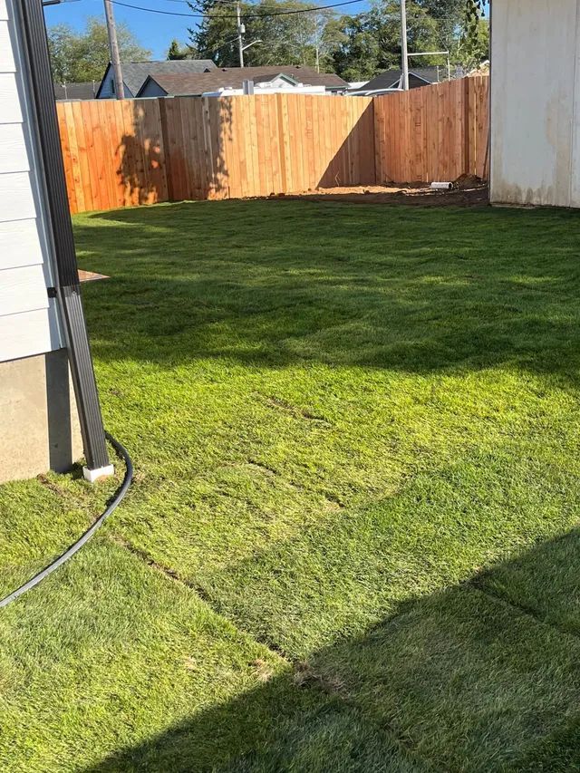 A backyard with a wooden fence and a lot of grass.