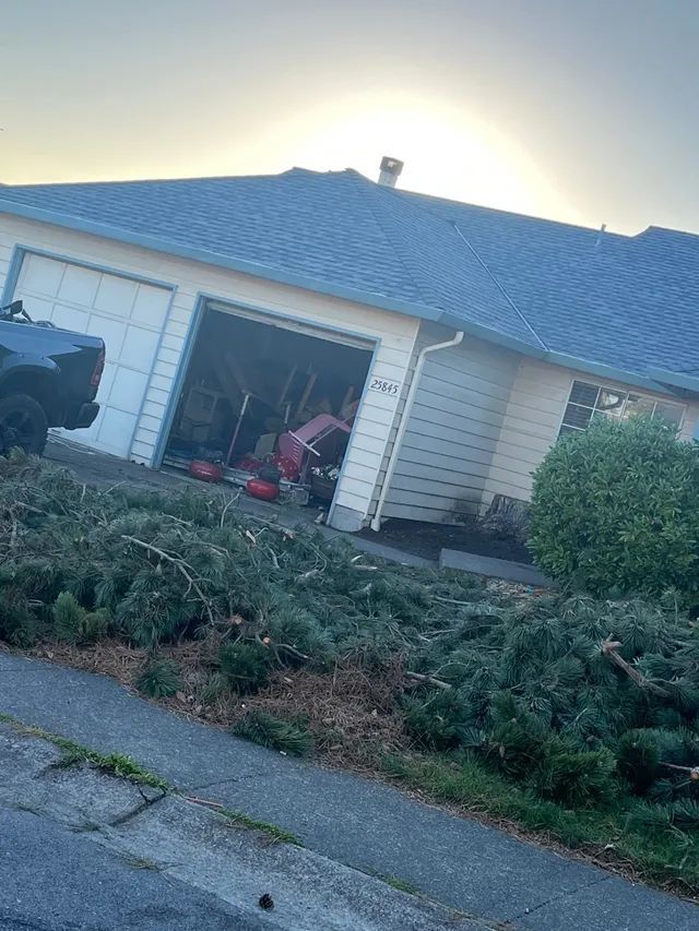A house with a blue roof and a lot of trees in front of it.