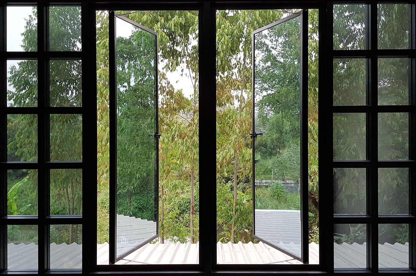 A window with a view of trees and a deck