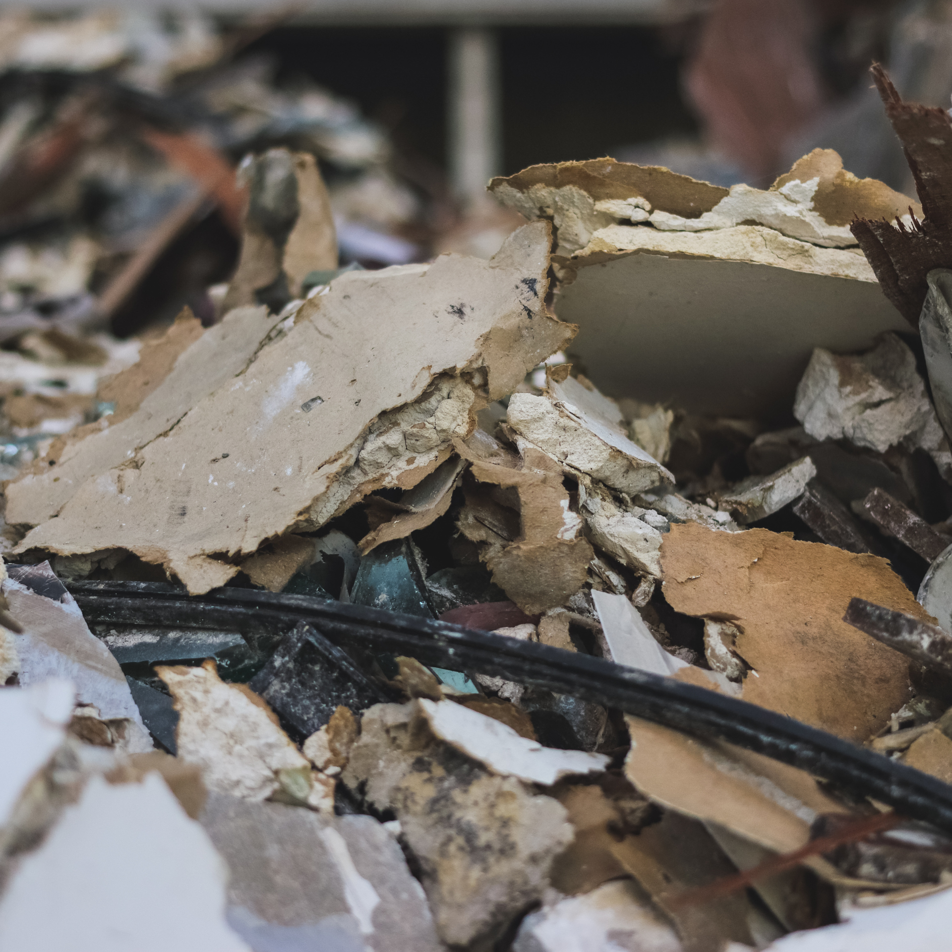 August Junk Removal Texas