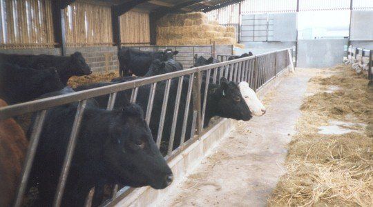 Diagonal feed barrier
