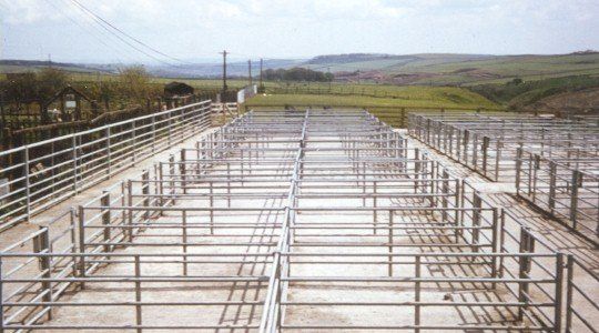 Sheep Pens