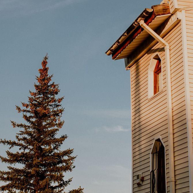 Tall evergreen beside a beige house with a sloped roof against a pale blue sky