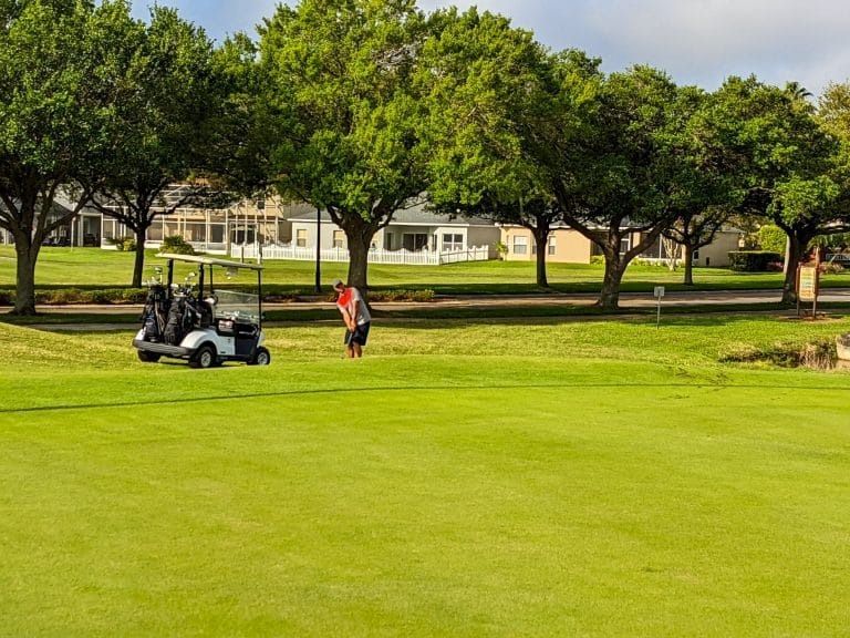 Golf course scene with a person golfing, golf cart, green grass, trees, and houses in the background.