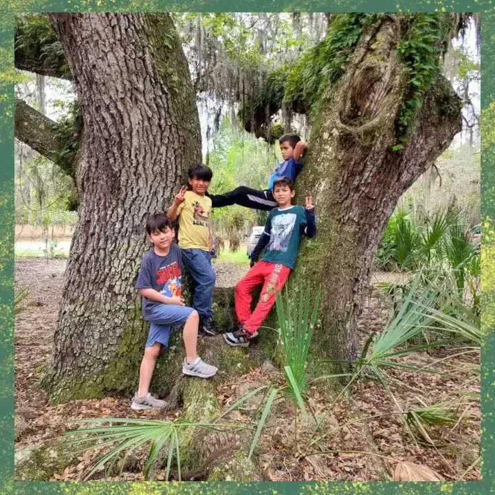 Four children pose on and near a large tree in a forest.
