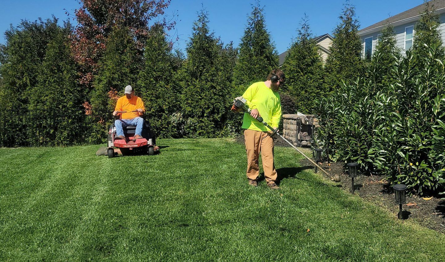 Two workers mowing a lawn on a sunny day. One on a riding mower, the other using a weed wacker near shrubbery.