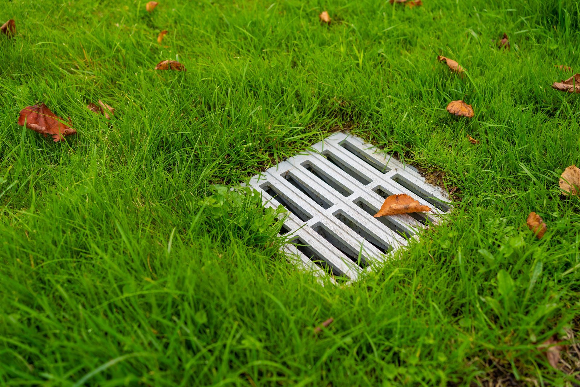 A metal drainage grate set into a green, grass-covered lawn with scattered brown autumn leaves.