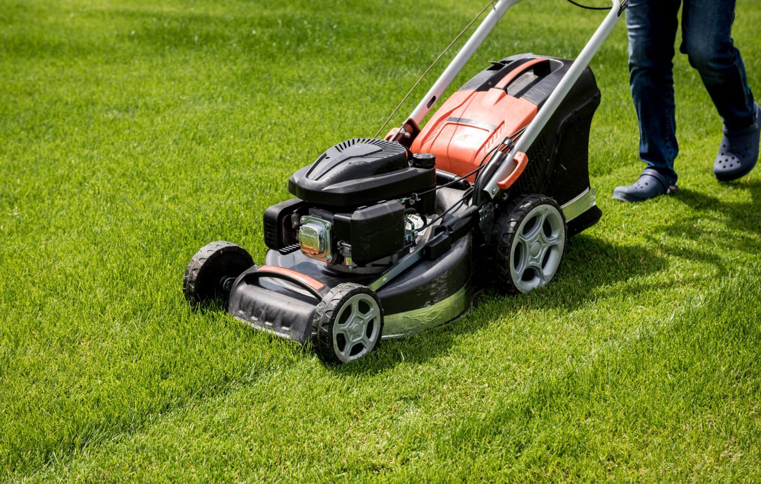 Lawnmower cutting grass in a sunny yard; person walking behind it.