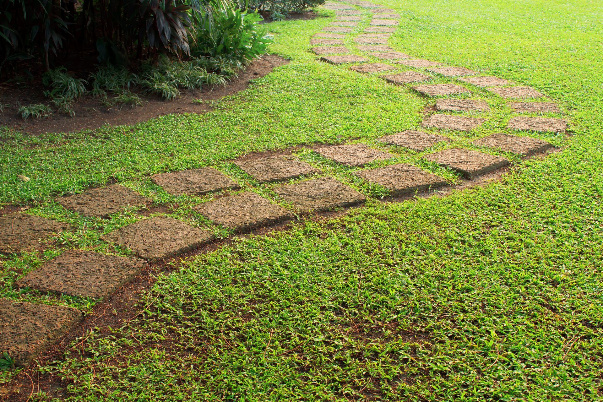 A stone path going through a lush green field.