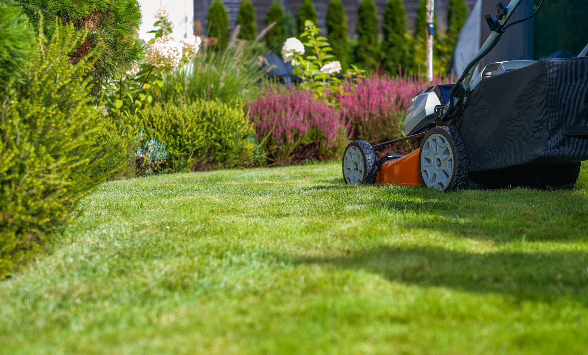 A person is mowing a lush green lawn with a lawn mower.