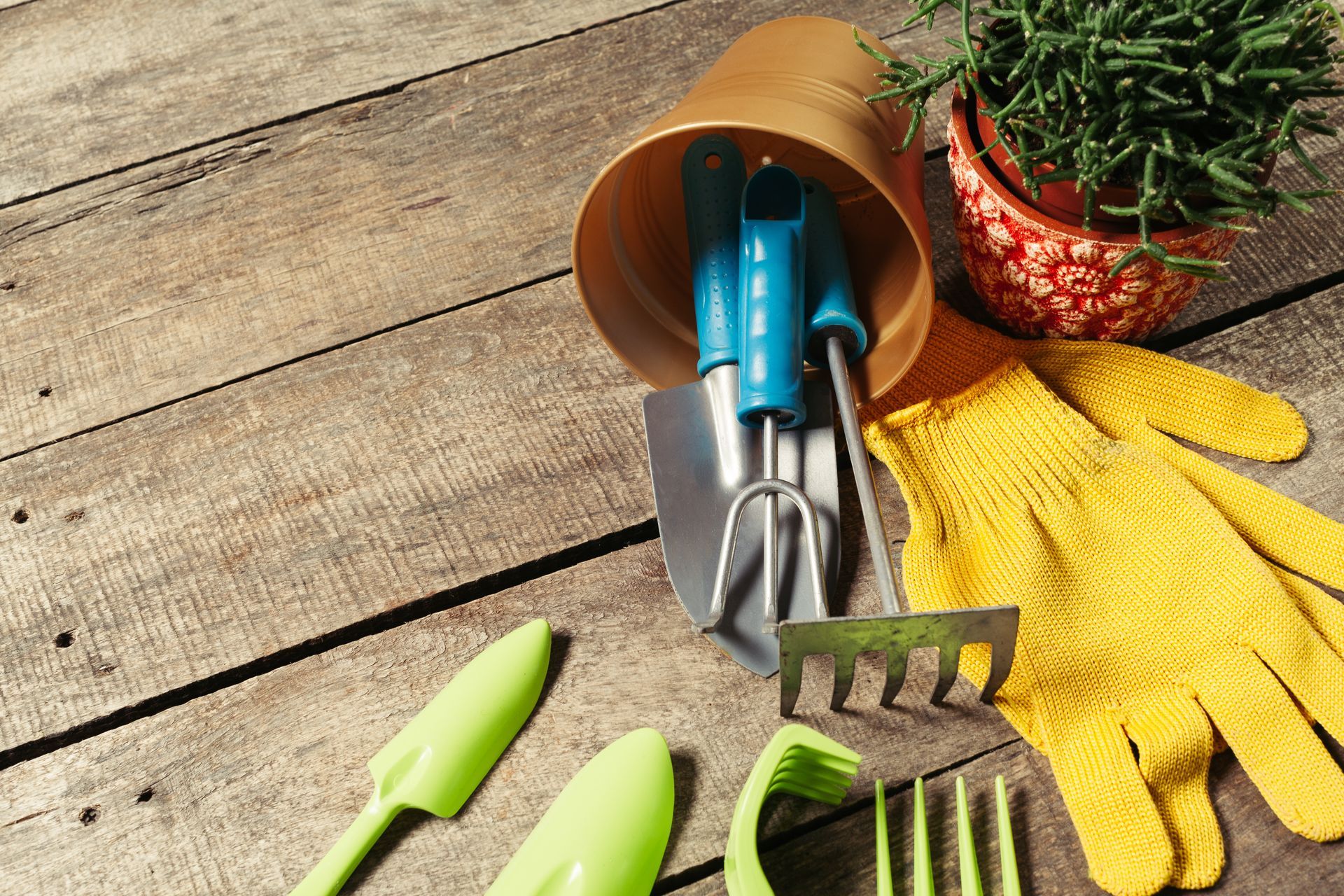 A wooden table topped with gardening tools and a potted plant.