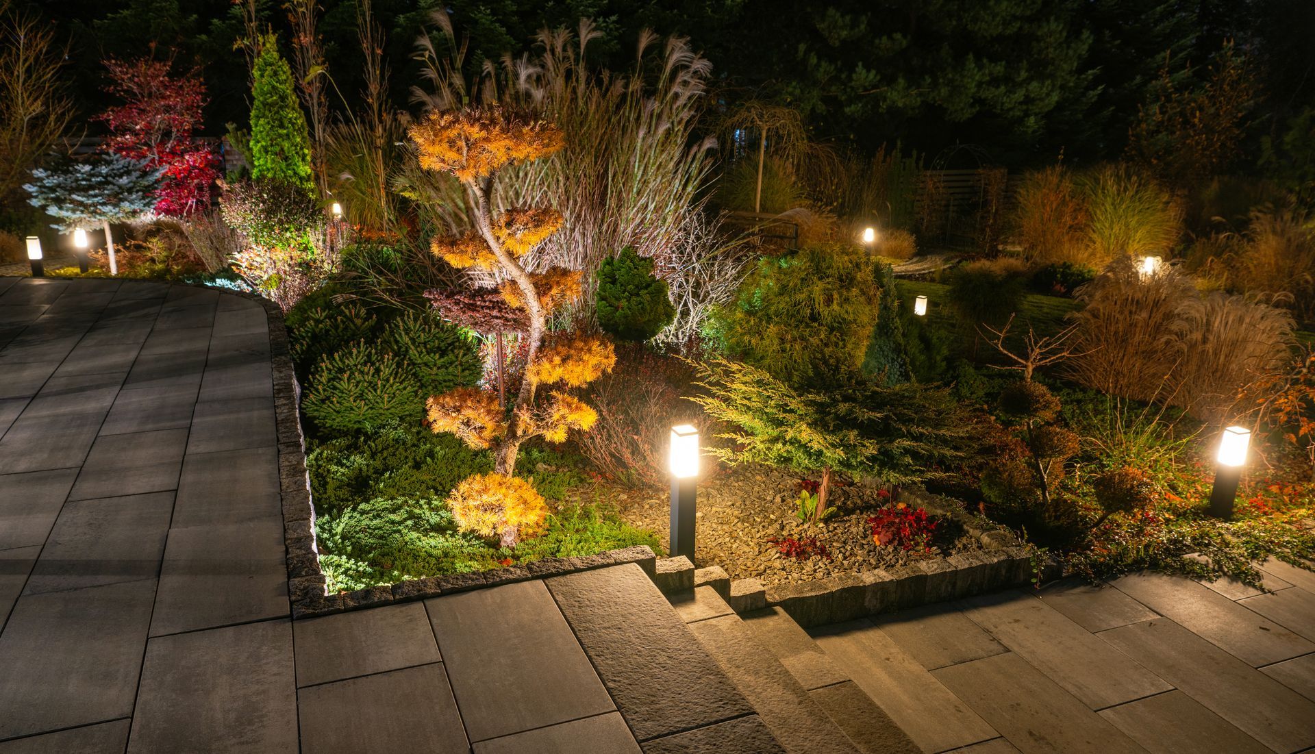 A garden is lit up at night with lots of lights.