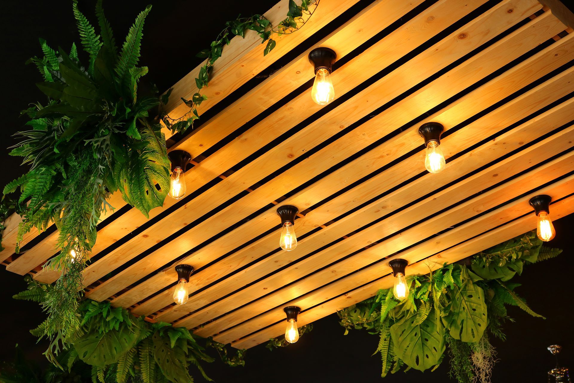 A wooden ceiling with lights and ferns hanging from it.