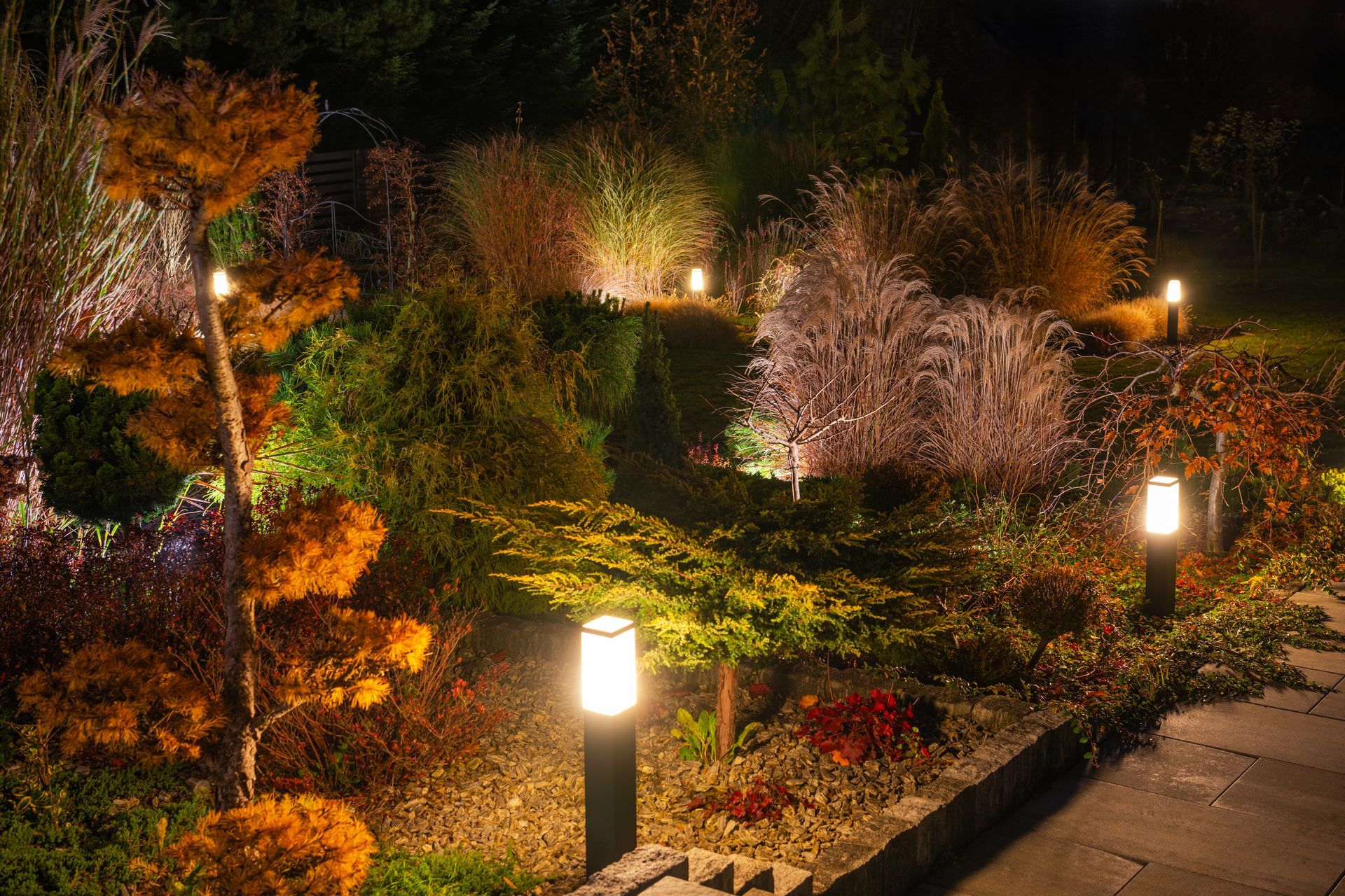 Garden illuminated at night with landscape lighting showcasing various plants and shrubs.