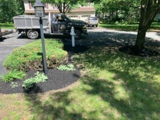 A truck is parked in the driveway of a house.