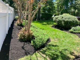 A lush green yard with a white fence and black mulch.
