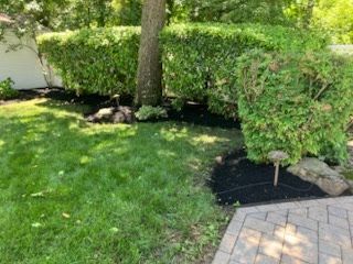 A lush green yard with a brick walkway and a tree.