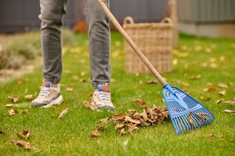 A person is raking leaves on a lush green lawn.
