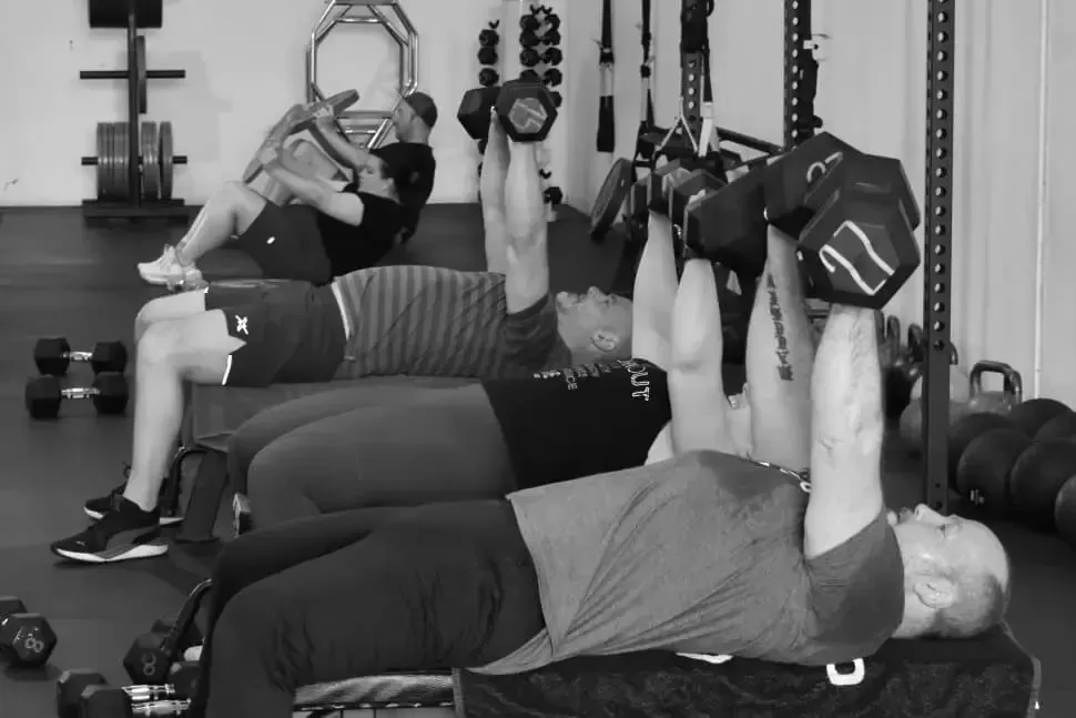A group of people are doing exercises with dumbbells in a gym.