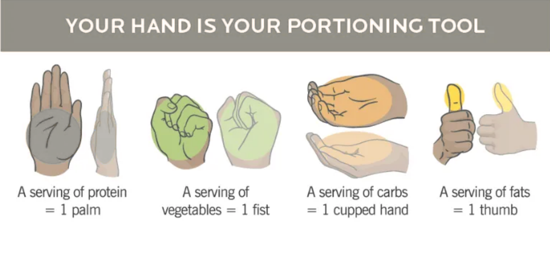 A hand is your portioning tool for a serving of protein , vegetables , carbs and fats