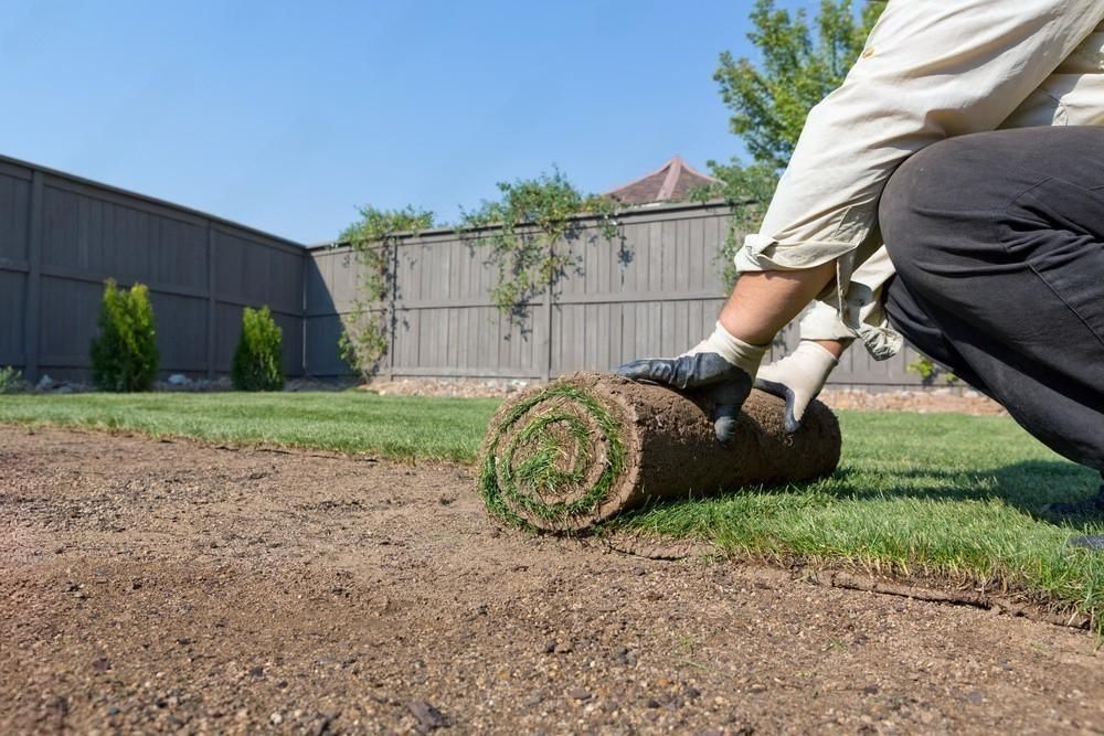 a man is rolling a roll of grass in a yard .