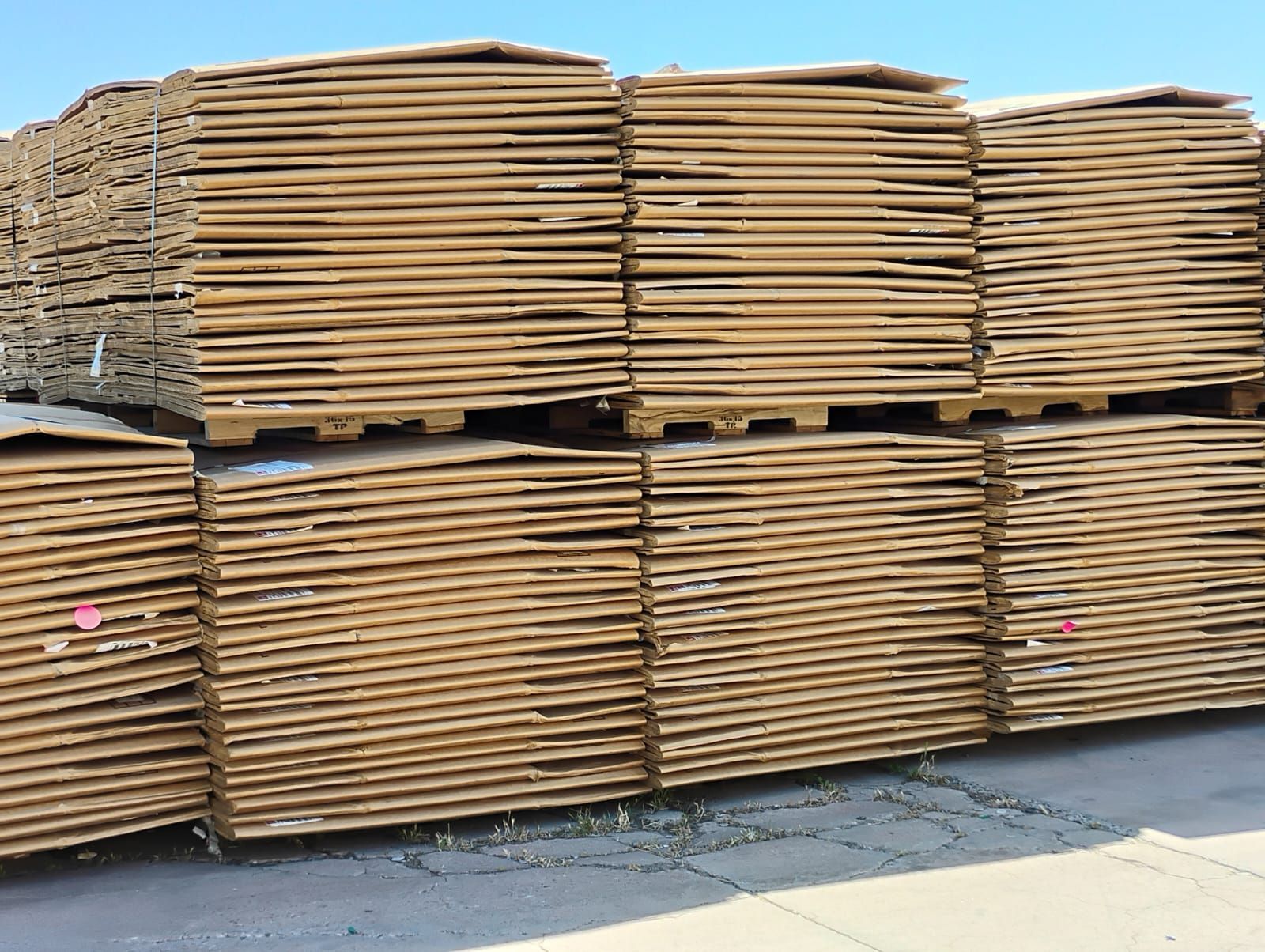 Stacks of wood planks on pallets, outdoors, under a blue sky.