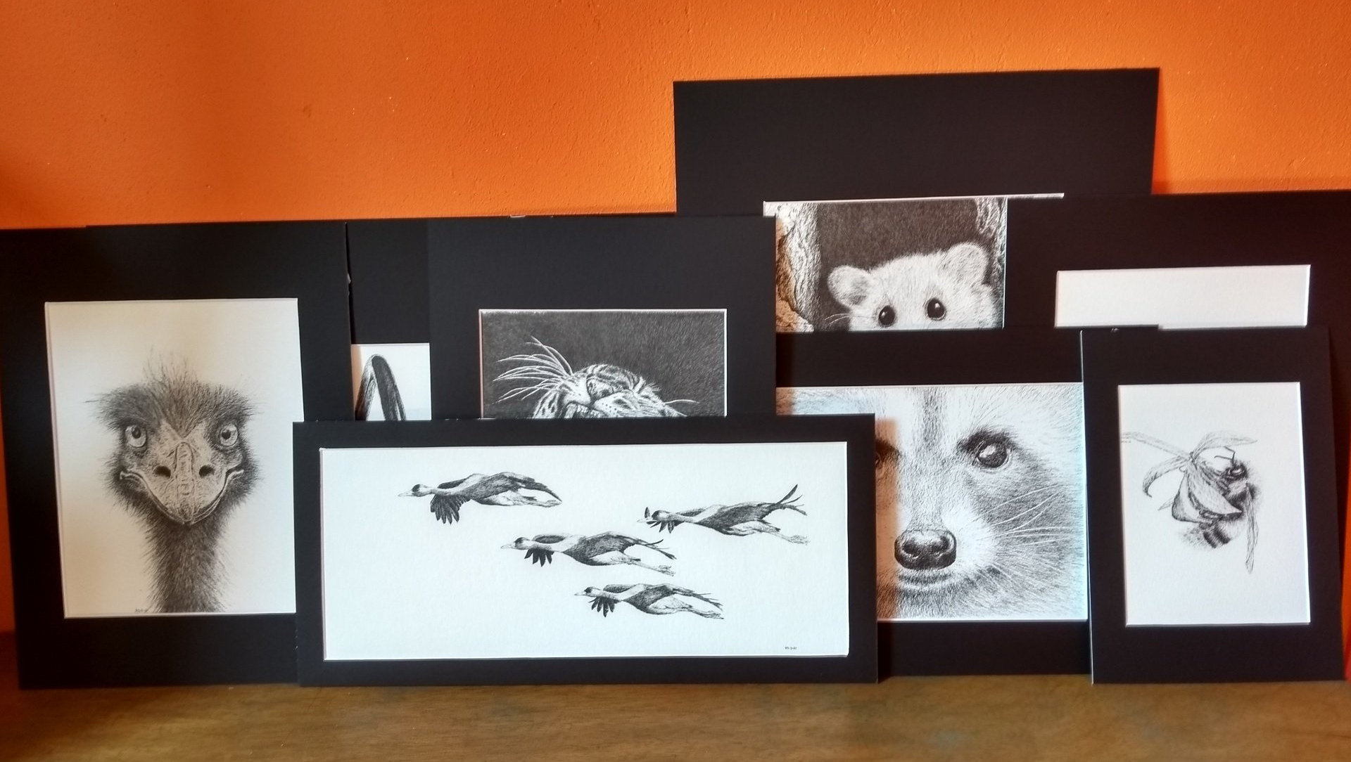 inclusief passe partout