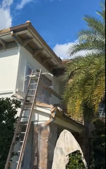 Ladder leaning against a light-colored house with brown trim and shutters, a palm tree, and a blue sky.