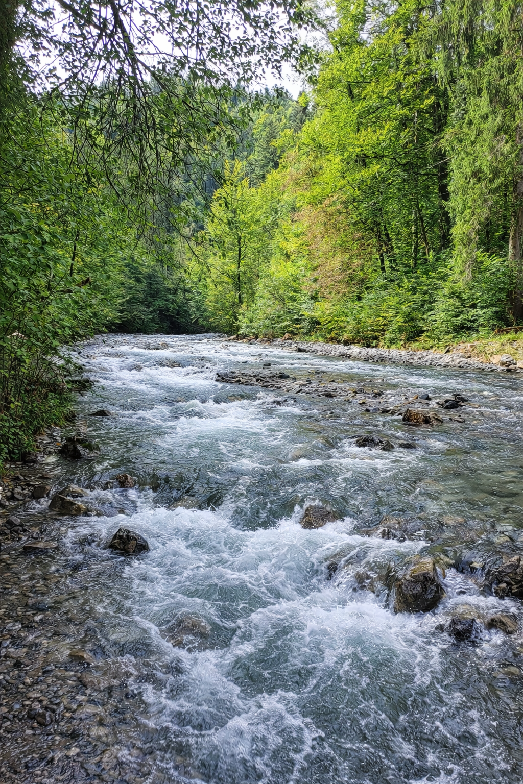 Rappenlochschlucht Dornbirn Vorarlberg