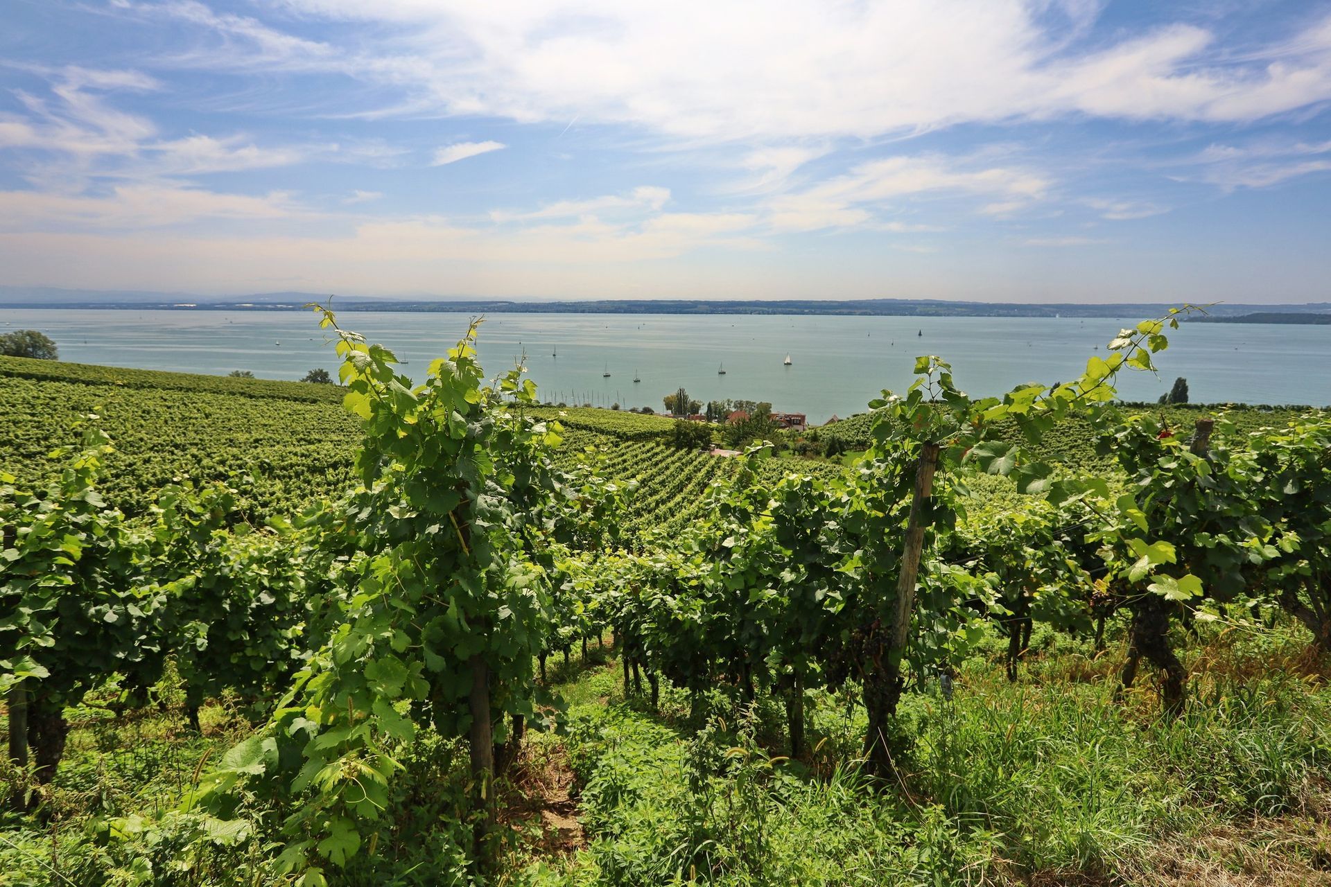 Höhenweg Meersburg Hagnau 