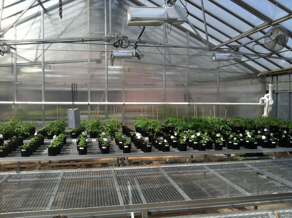 plumbing for rain system