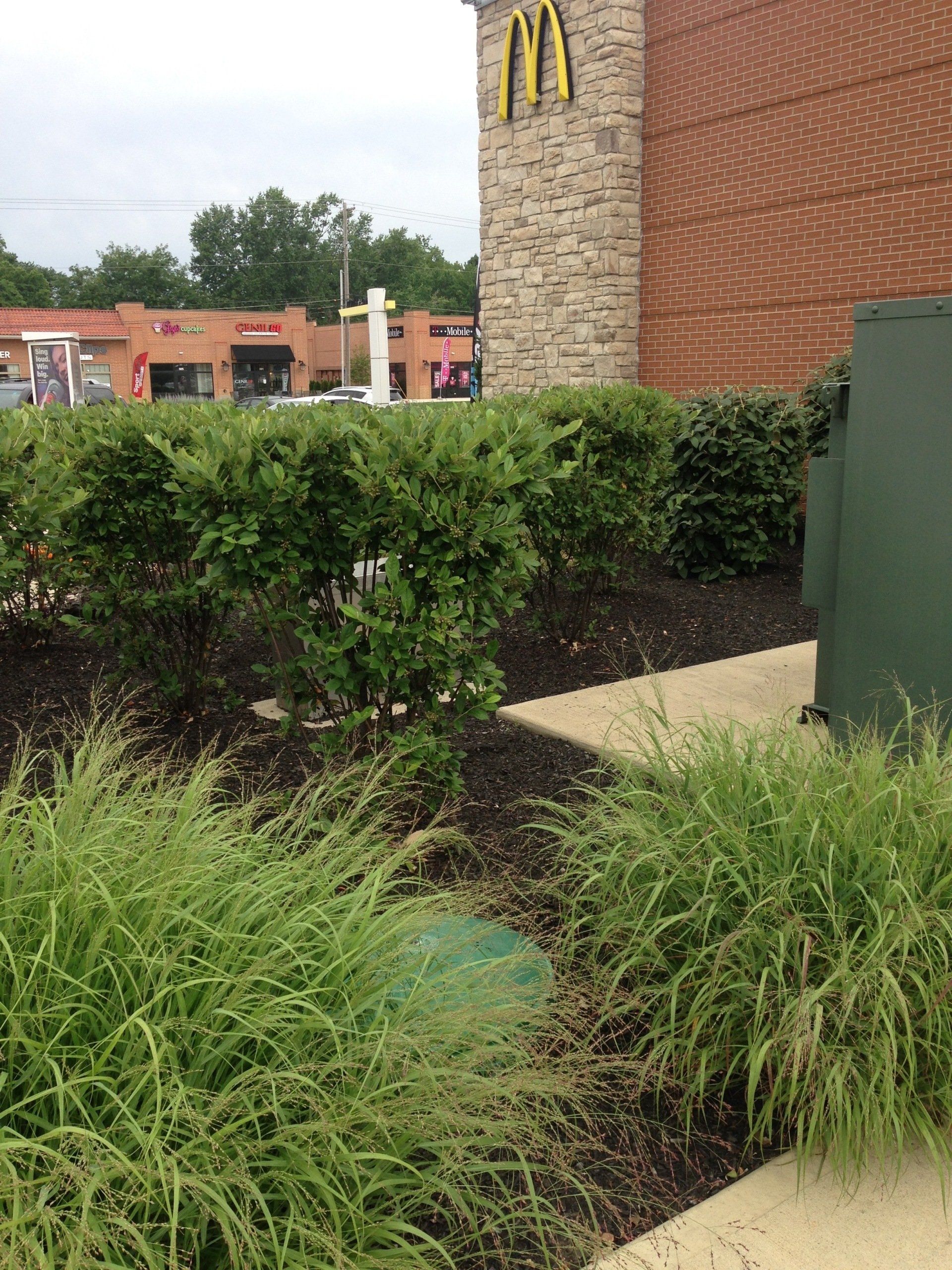 McDonalds rainwater harvesting irrigation system