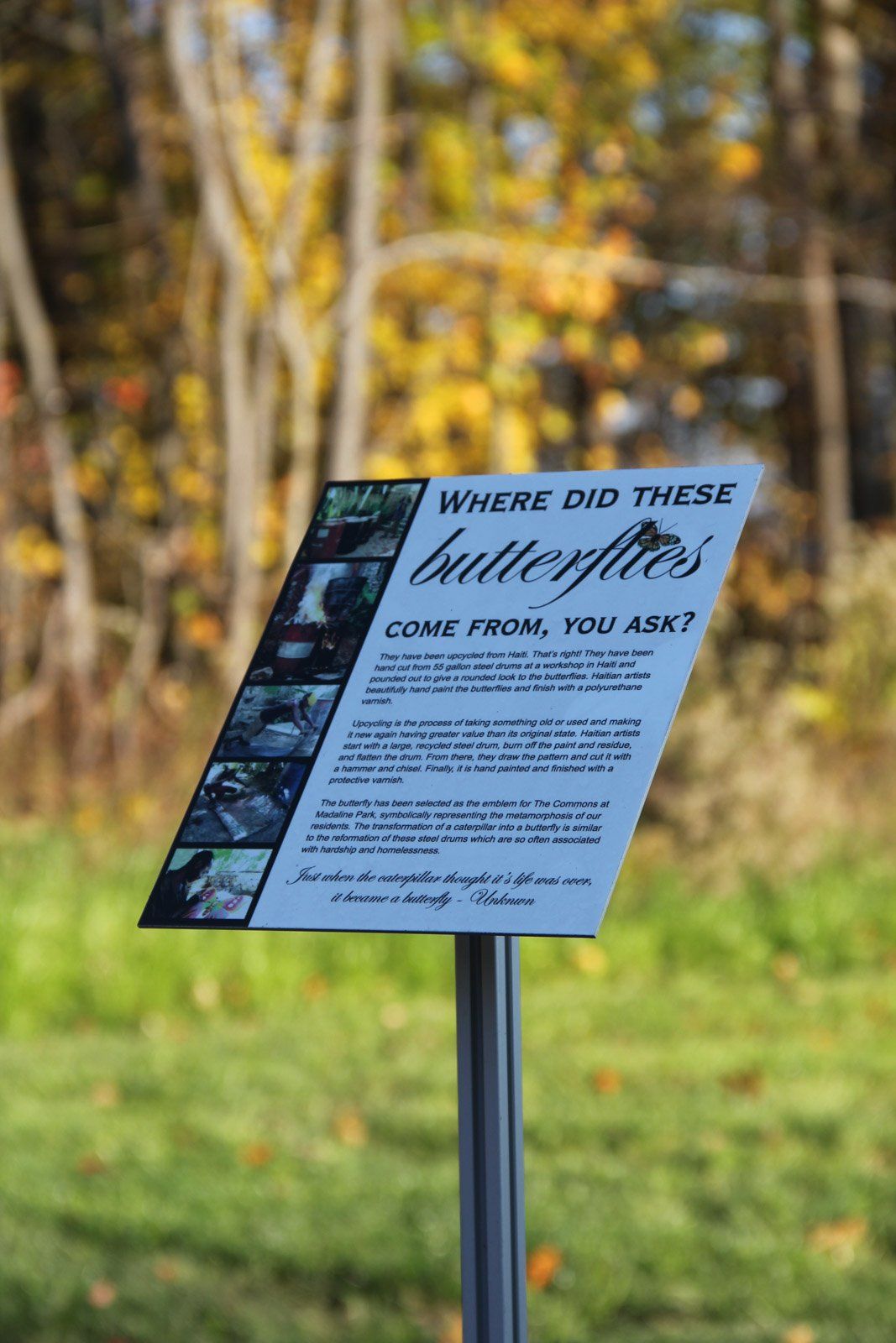 The Commons at Madaline Park gardens