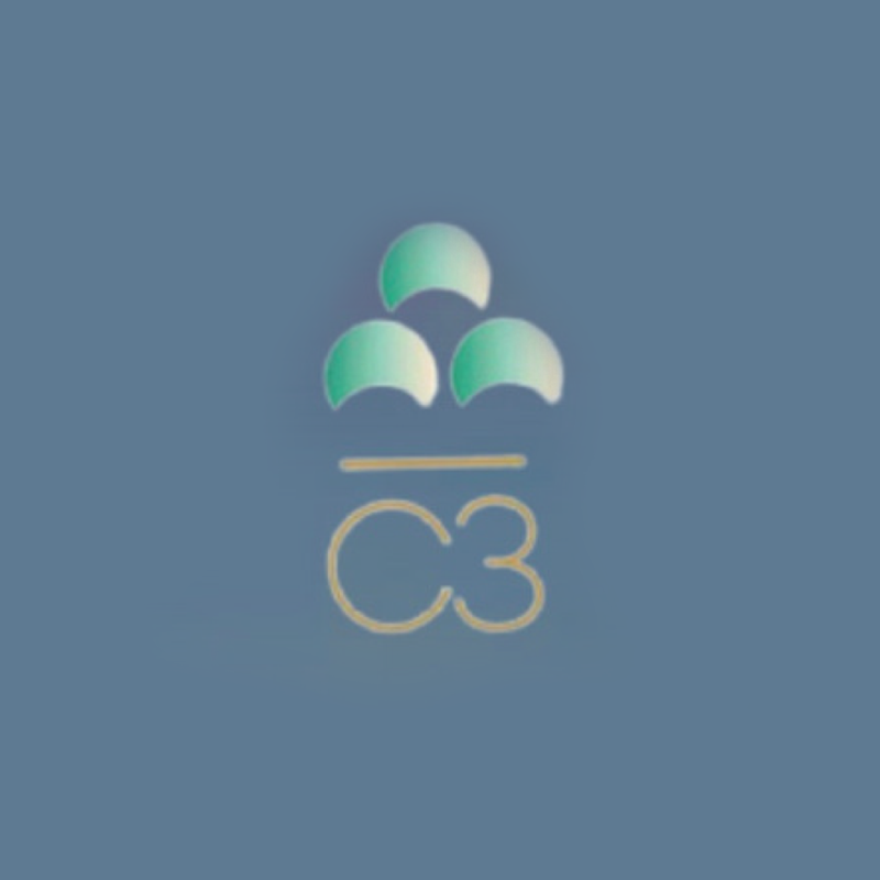 C3